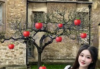 17吃瓜网新鲜更新：天上掉下个林妹妹，网友神评论引爆全场！