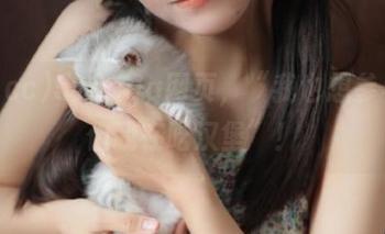 51ccgg网页，“我也想参与，但我在吃汉堡”！