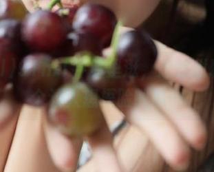 91hl1导航里逛，忽然发现好几个让人想捂脸的瓜…