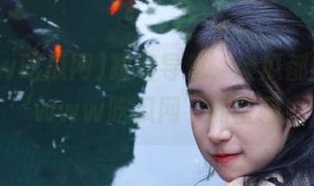 跟着导航，傻瓜都能找到‘www吃瓜网’的宝藏！