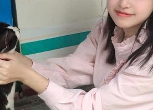 “免费吃瓜网”：随便盲拐，资源随你选！