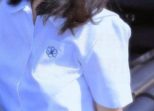 安卓惊喜，刚开吃瓜网t7wcc就看到一堆瓜事件！
