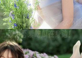 网爆料天天见，永不迷路，只因为吾爱吃瓜在身边！